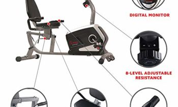 Read more about the article Sunny Health & Fitness Magnetic Recumbent Exercise Bike, Pulse Rate Monitoring, 300 lb Capacity, Digital Monitor and Quick Adjustable Seat | SF-RB4616