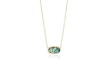 Read more about the article Kendra Scott Signature Elisa Pendant Necklace Review & Ratings