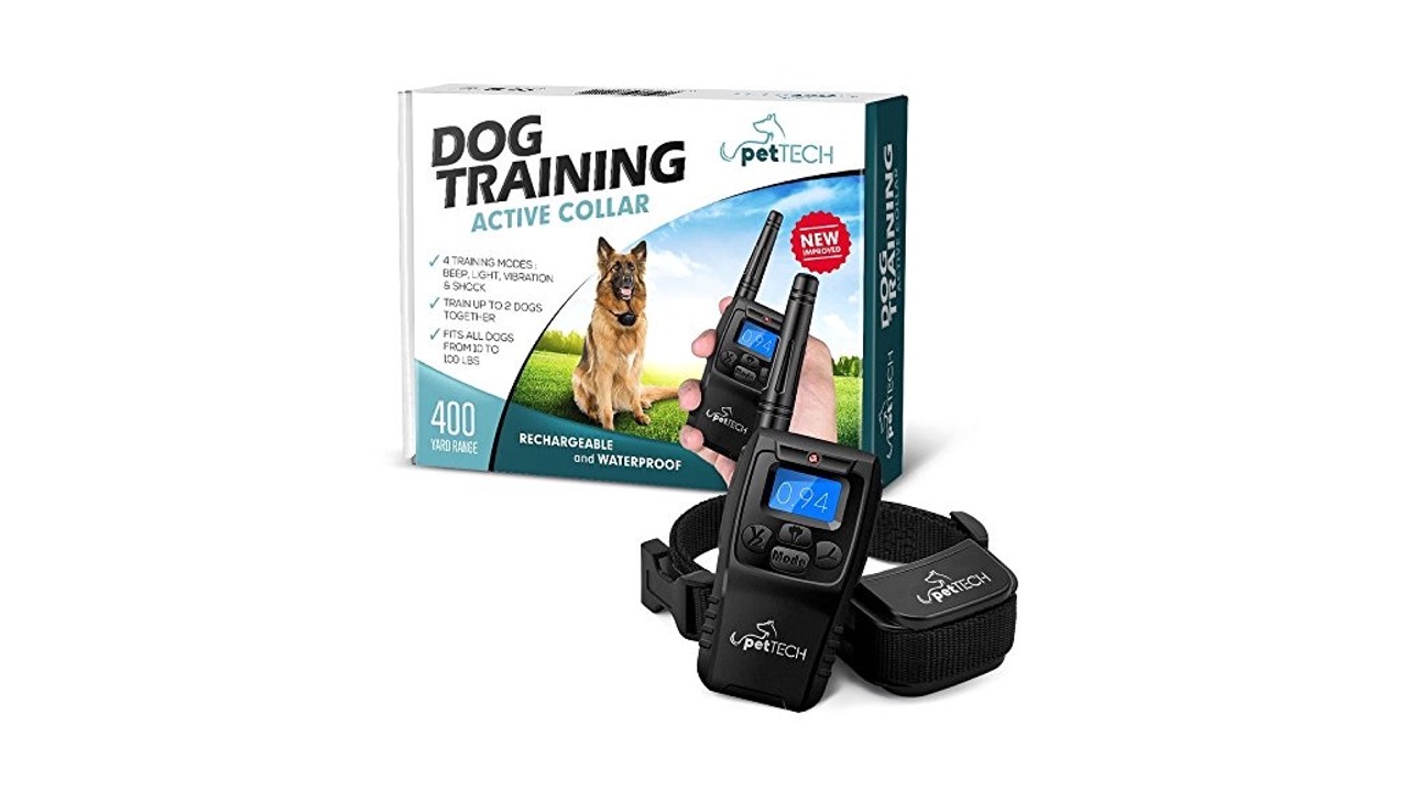 You are currently viewing PetTech Dog Training Collar Review & Ratings