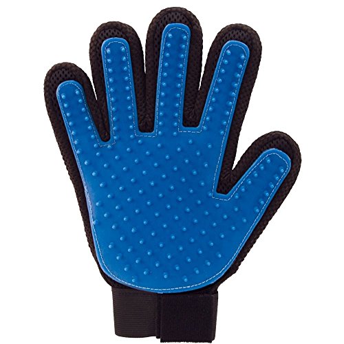 Read more about the article True Touch Deshedding Glove Review & Ratings