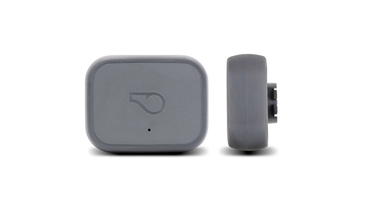 Read more about the article Whistle 3 GPS Pet Tracker & Activity Monitor Review & Ratings