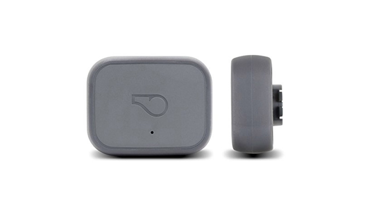 You are currently viewing Whistle 3 GPS Pet Tracker & Activity Monitor Review & Ratings