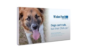 Read more about the article Wisdom Panel 3.0 Breed Identification DNA Test Kit Review & Ratings
