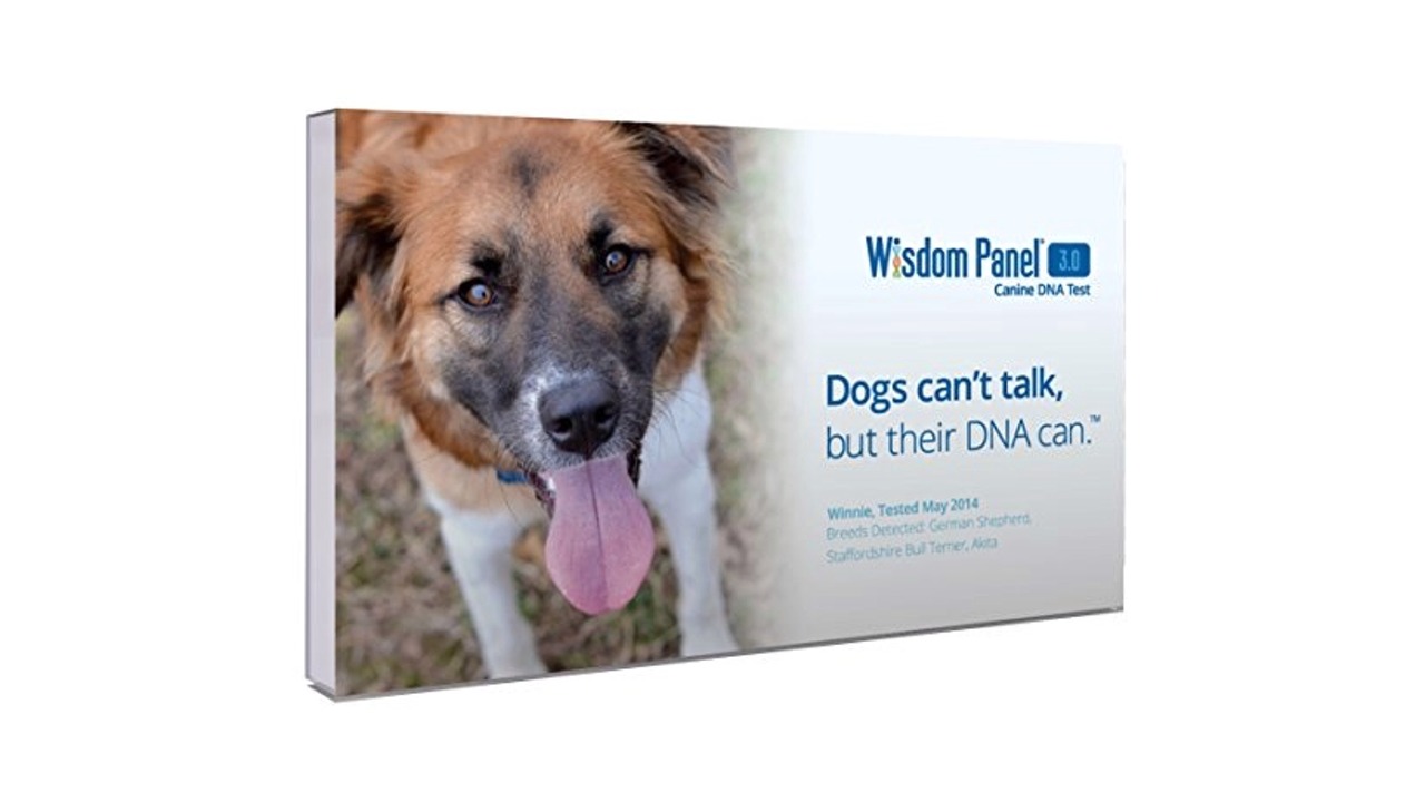 Read more about the article Wisdom Panel 3.0 Breed Identification DNA Test Kit Review & Ratings