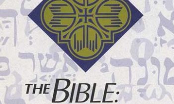 Read more about the article Cicso Independent DVD063 The Bible – ASL Translation – New Testament DVD Set