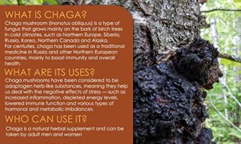Read more about the article Chaga Mushrooms Capsules | 1800mg Per Serving | VH Nutrition 30 Servings | Chaga Mushroom Powder | Immunity and Anti-Aging Support Supplement with Natural Ingredients