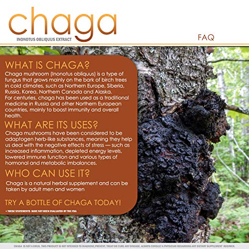 You are currently viewing Chaga Mushrooms Capsules | 1800mg Per Serving | VH Nutrition 30 Servings | Chaga Mushroom Powder | Immunity and Anti-Aging Support Supplement with Natural Ingredients