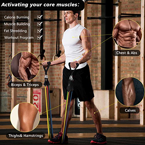 Read more about the article Resistance Bands Set 13pcs, Workout Bands Recredo, Exercise Bands Set with Door Anchor, Handles and Ankle Straps, Stackable Up to 150 lbs, for Resistance Training, Physical Therapy, Home Workouts
