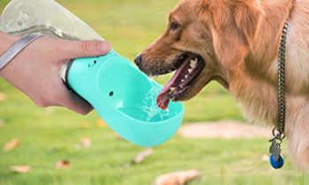 Read more about the article Pedy Dog Water Bottle, Pet Travel Water Bottle with ABS Food Grade Small Dog Travel Outdoor Water Drinking Bottle, 18oz(Blue)