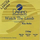 Read more about the article Watch The Lamb [Accompaniment/Performance Track]