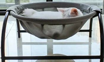 Read more about the article Cat Bed Dog Bed Pet Hammock Bed Free-Standing Cat Sleeping Cat Bed Cat Supplies Pet Supplies Whole Wash Stable Structure Detachable Excellent Breathability Easy Assembly Indoors Outdoors (Gray)