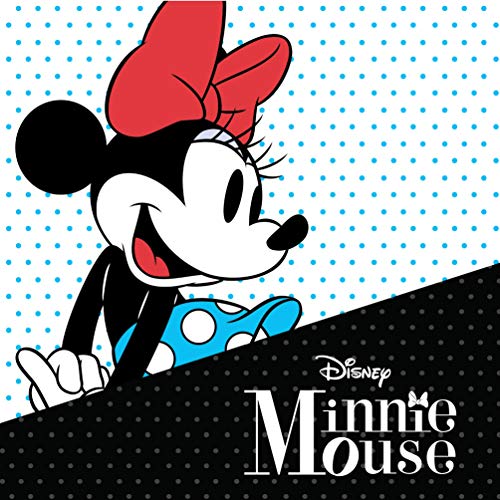 Read more about the article Disney Women’s Jewelry Minnie Mouse Silver Plated Brass February Birthstone Stud Earrings