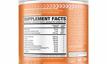 Read more about the article L33T Gaming Powder | Mango Citrus | 30 Servings | 12.7oz | Gaming: Energy + Focus Enhancer
